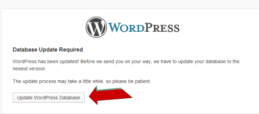 Update WordPress Database