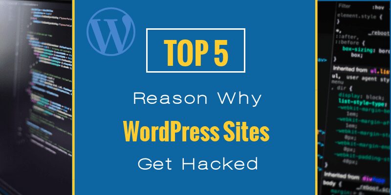 5 Top Reasons Why WordPress Sites Get Hacked | SEO-Alien